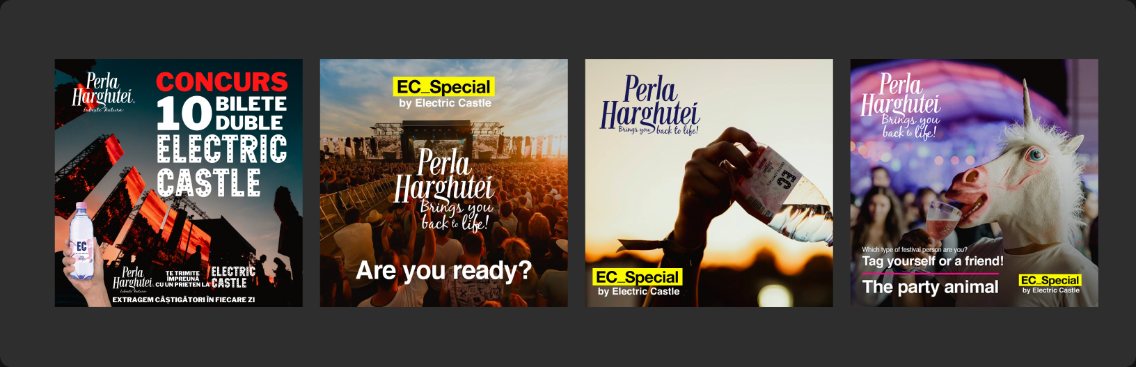 Perla Harghitei project image 1