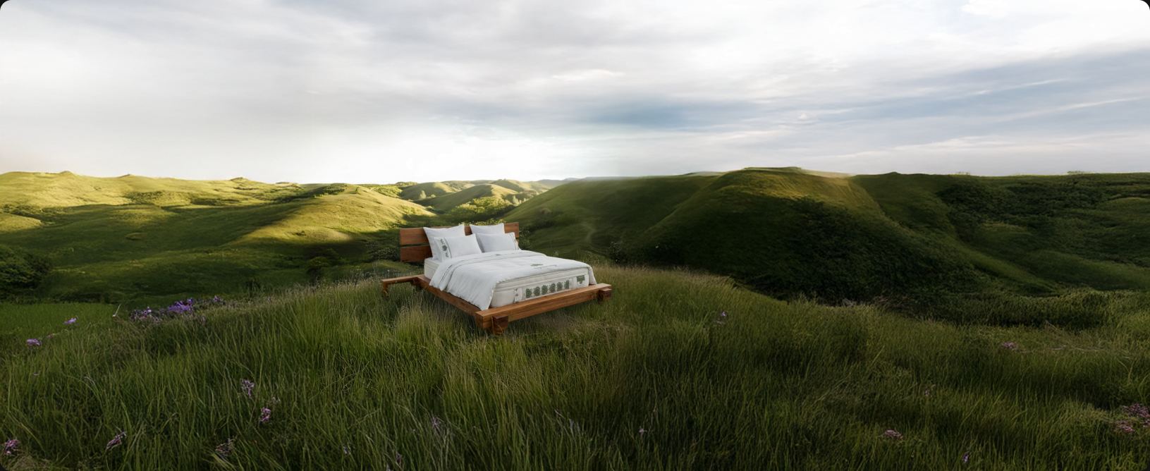Essience by Green Future project image 13