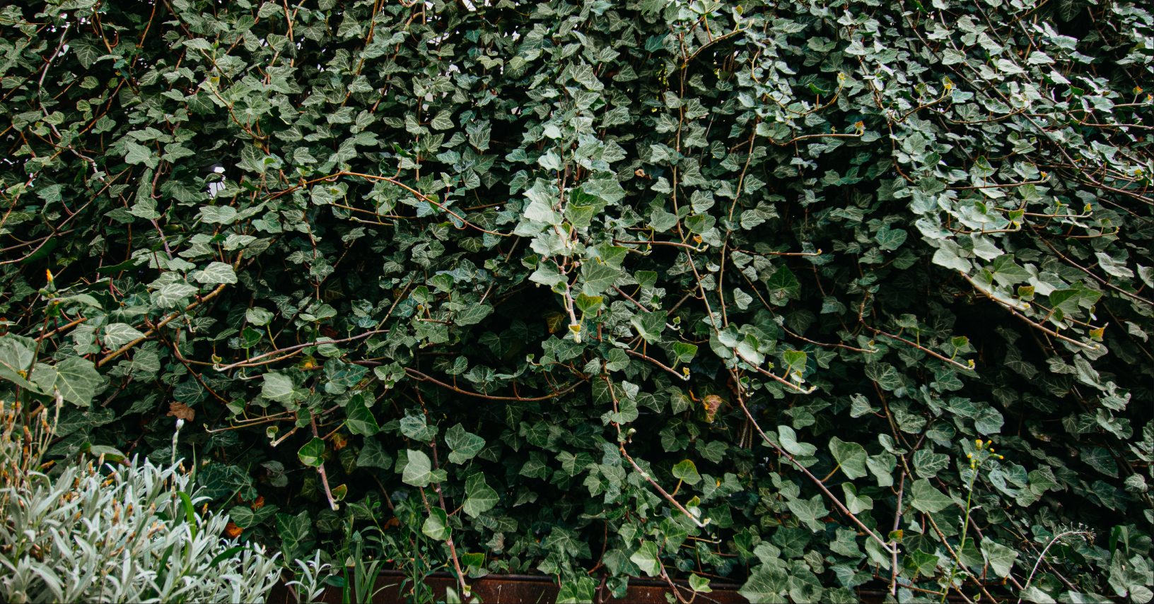 greenstant by SIMACEK project image 7