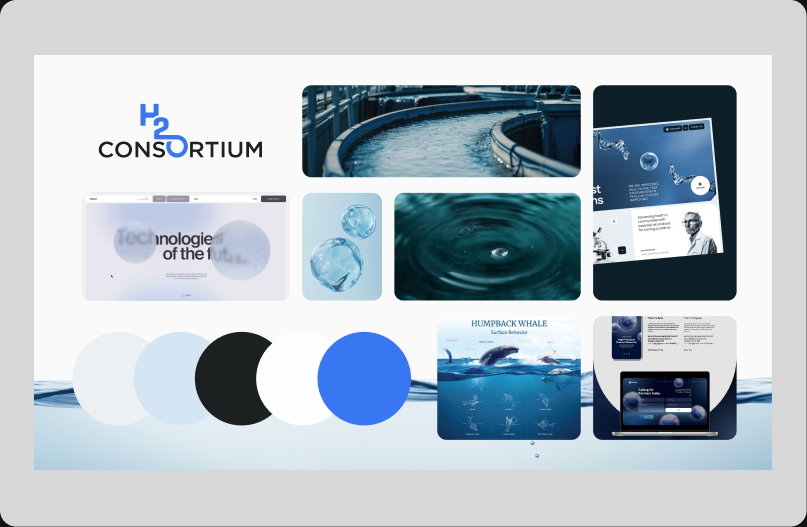 H2O Consortium project image 2