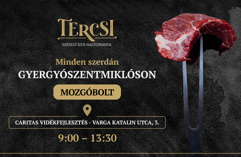 Tercsi project image 2