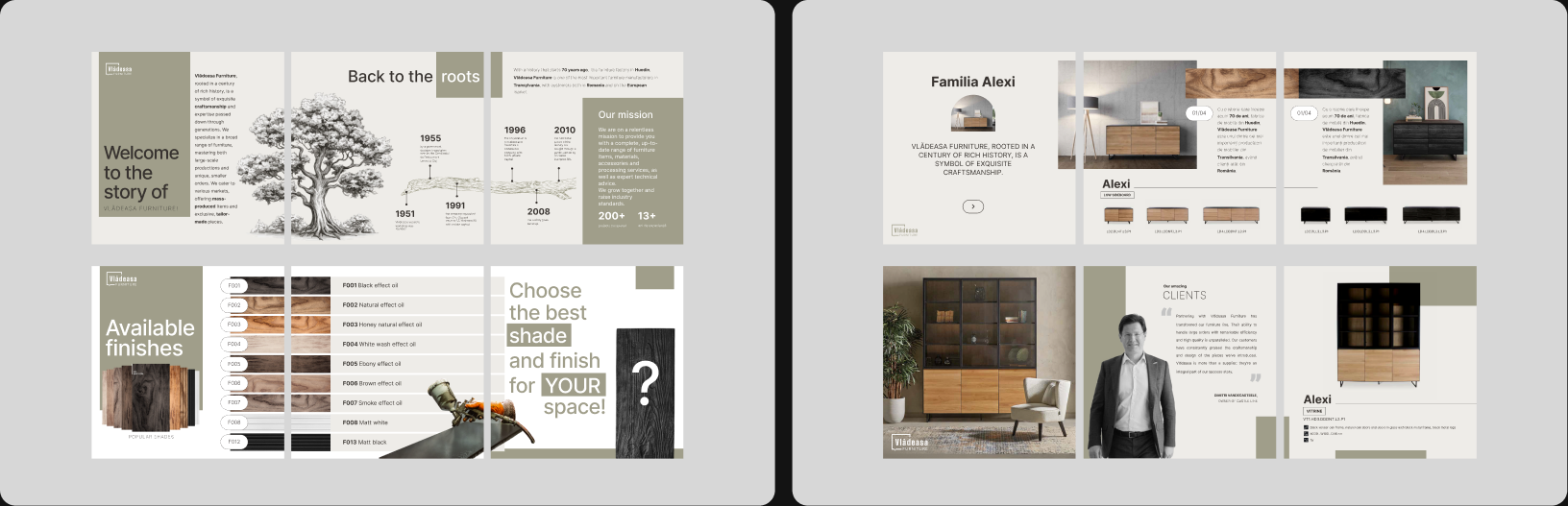 VLĂDEASA furniture project image 6