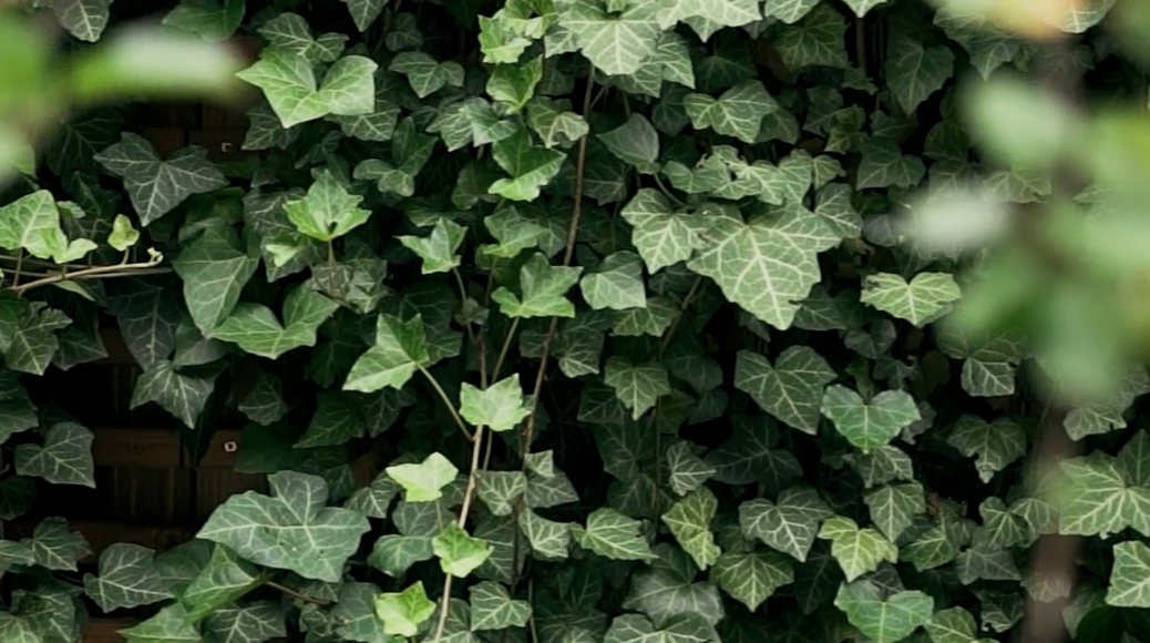 greenstant by SIMACEK