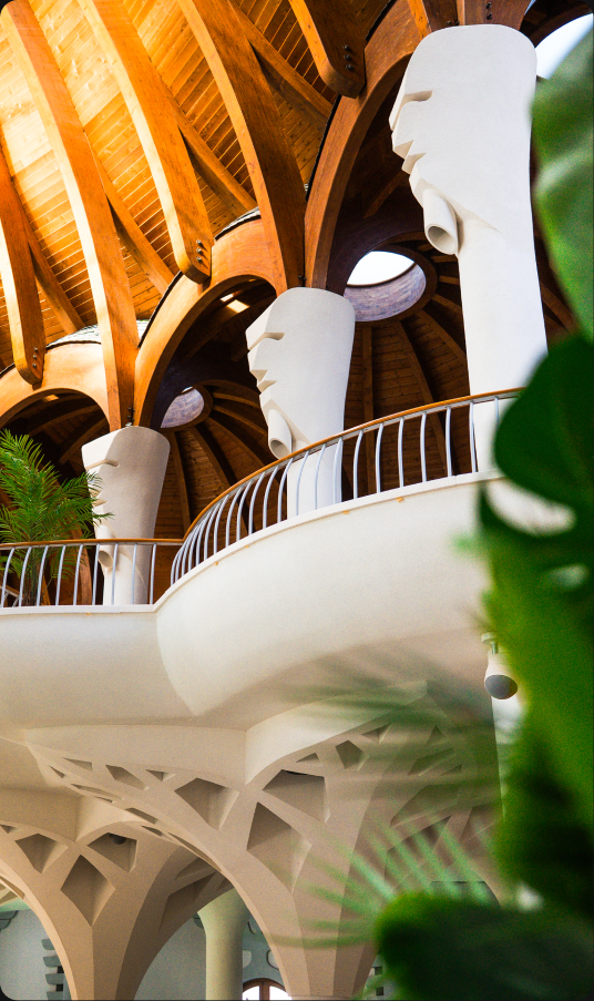Hagymatikum – Makó SPA project image 12
