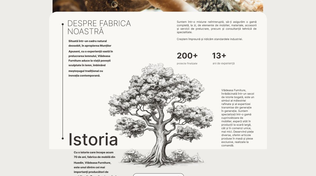 VLĂDEASA furniture